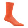1908841-5720_Essence20Sock_Front