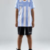 1910177-341900_Progress202.020Stripe20Jersey20JR_Closeup6