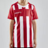 1910177-430900_Progress202.020Stripe20Jersey20JR_Closeup1