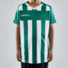 1910177-651900_Progress202.020Stripe20Jersey20JR_Closeup1