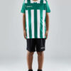 1910177-651900_Progress202.020Stripe20Jersey20JR_Closeup6