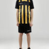 1910177-999552_Progress202.020Stripe20Jersey20JR_Closeup5