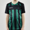 1910177-999651_Progress202.020Stripe20Jersey20JR_Closeup1