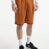 1911115-575999_Progress20Reversible20Basket20Shorts20M_Closeup1