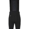 C17327-9990_Endur20Cargo20Bib20Shorts20C320M_Back