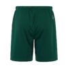C17392-6390_Evolve20220Shorts20M_Back