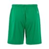 C17392-6510_Evolve20220Shorts20M_Back