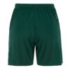 C17393-6390_Evolve20220Shorts20W_Back