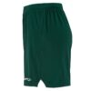 C17393-6390_Evolve20220Shorts20W_Left