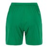 C17393-6510_Evolve20220Shorts20W_Back
