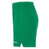 C17393-6510_Evolve20220Shorts20W_Left