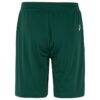 C17394-6390_Evolve20220Shorts20Jr_Back