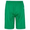 C17394-6510_Evolve20220Shorts20Jr_Back