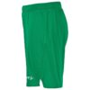 C17394-6510_Evolve20220Shorts20Jr_Left