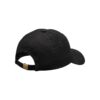 C17494-9990_Ability20Logo20Cap_Back