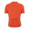 C17362-4510_Everyday20SS20Jersey20M_Back-1