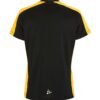 C17387-999S_Evolve20220Contrast20Jersey20W_Back