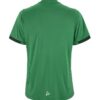 C17390-6510_Evolve20220Graphic20Jersey20W_Back-1