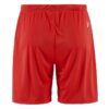 C17392-4300_Evolve20220Shorts20M_Back-1