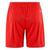 C17392-4300_Evolve20220Shorts20M_Back