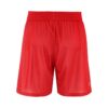 C17881-430W_Basket20220Reversible20Shorts20M_Back