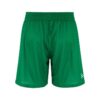 C17881-651W_Basket20220Reversible20Shorts20M_Back