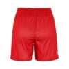 C17882-430W_Basket20220Reversible20Shorts20W_Back
