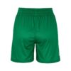 C17882-651W_Basket20220Reversible20Shorts20W_Back
