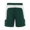 C17887-639W_Basket20220Shorts20Contrast20M_Back