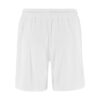 C17893-1000_Basket20220Shorts20M_Back