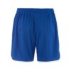 C17893-3460_Basket20220Shorts20M_Back