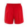 C17893-4300_Basket20220Shorts20M_Back