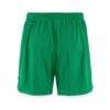 C17893-6510_Basket20220Shorts20M_Back