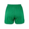 C17894-6510_Basket20220Shorts20W_Back