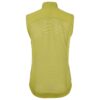 C17324-6730_Endur20Light20Wind20Vest20W_Back