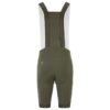 C17327-6810_Endur20Cargo20Bib20Shorts20C320M_Back