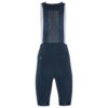 C17329-3980_Endur20Cargo20Bib20Shorts20C320W_Back